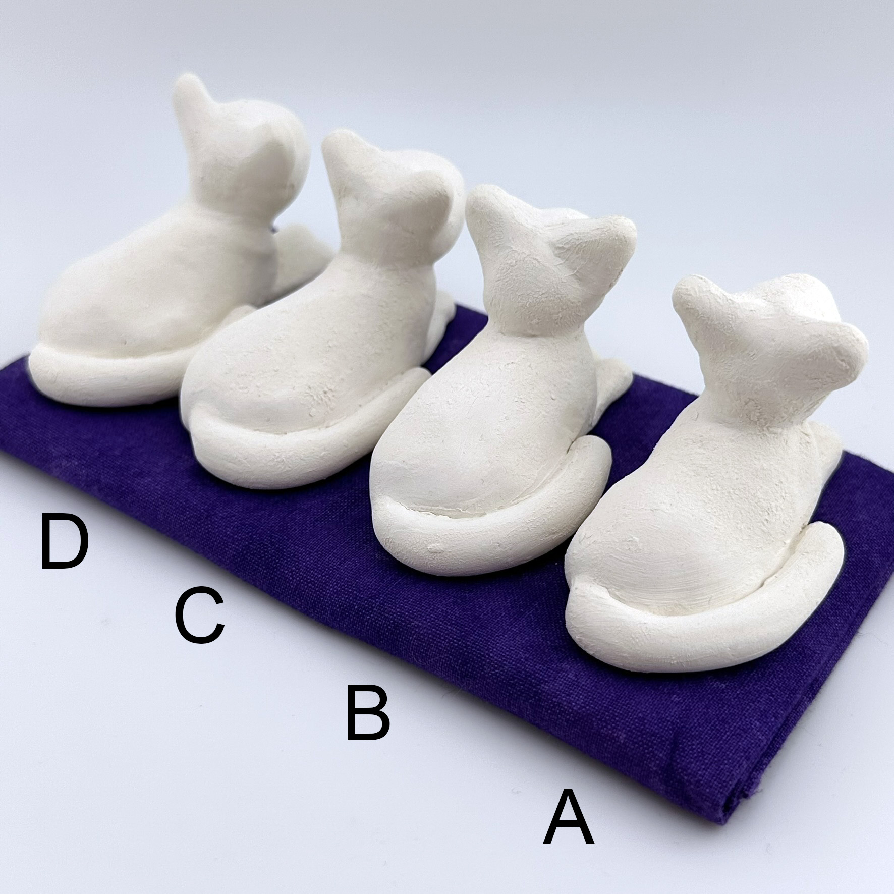 dyeing poison dart frog (citronella) (copy) dyeing poison dart frog (citronella) (copy)