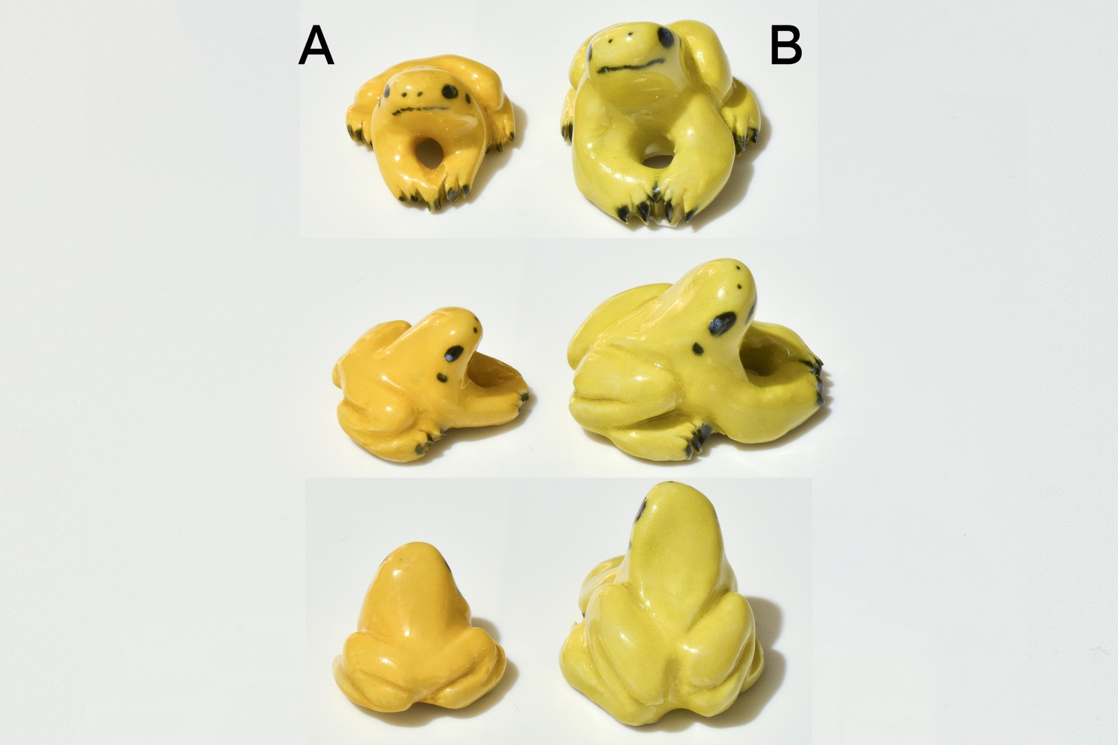 goldenpoisonfrog goldenpoisonfrog