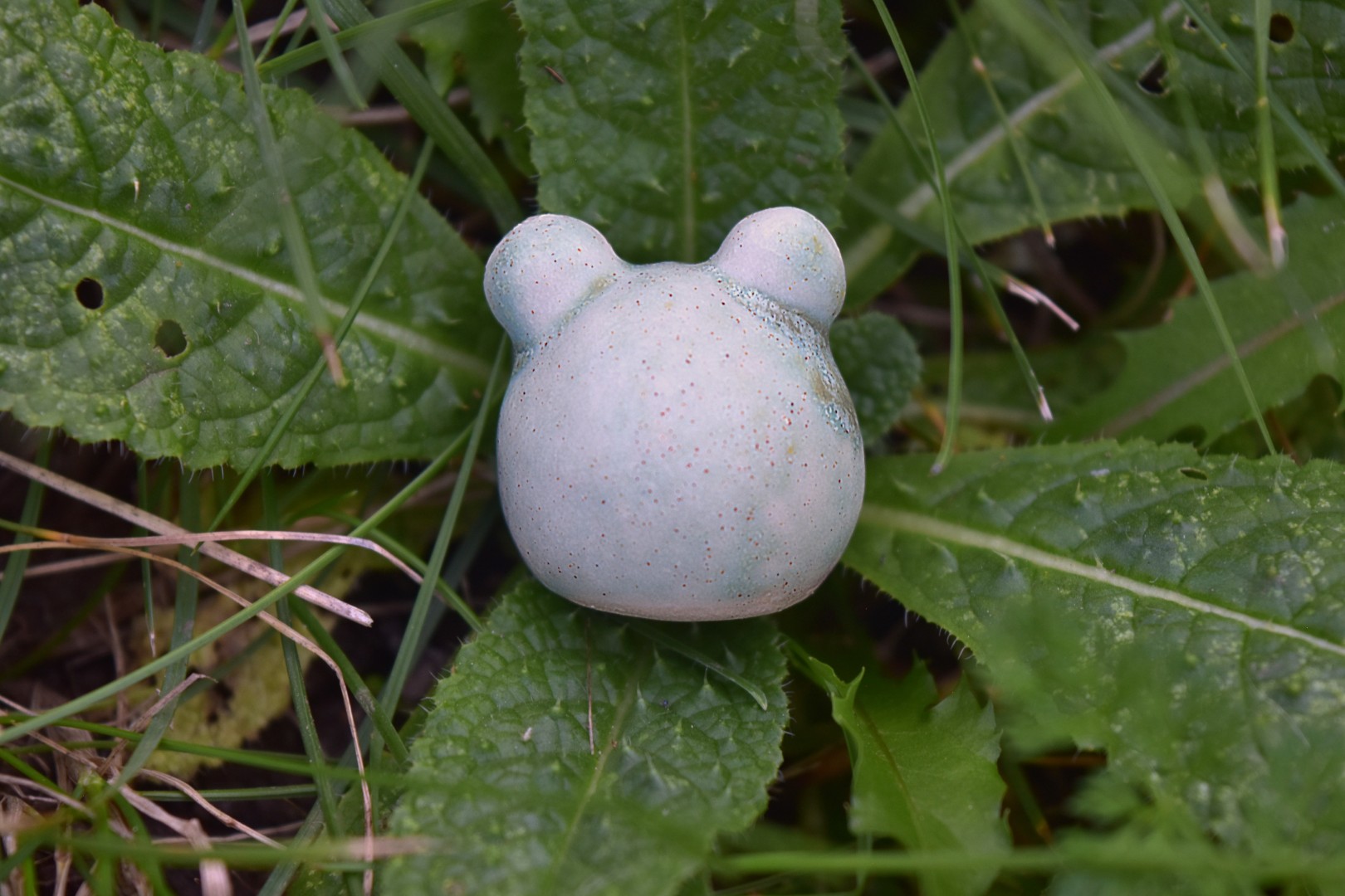 gumdropdipped1 gumdropdipped1