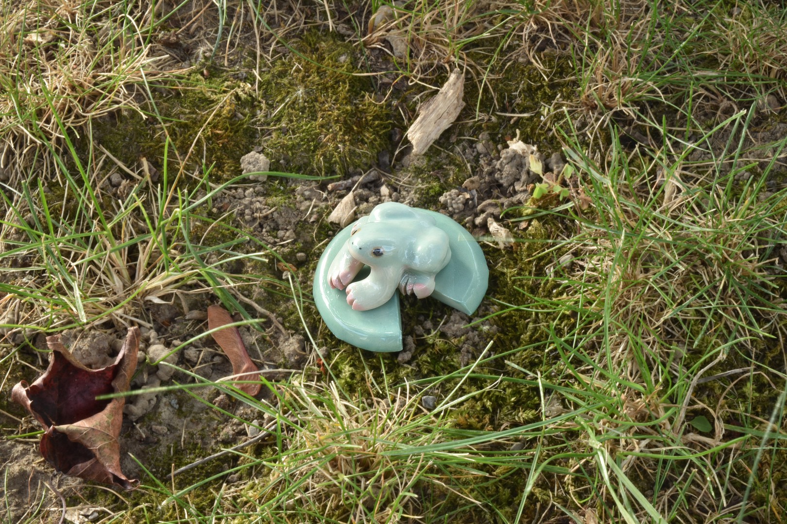 lilypadmini2 lilypadmini2