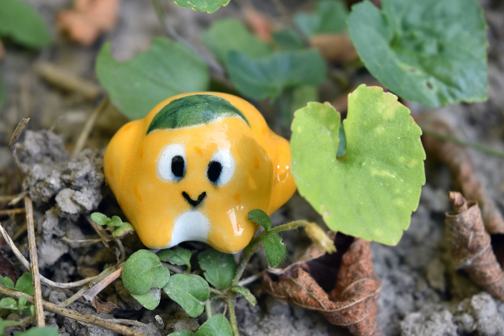 orbytangerine1 orbytangerine1