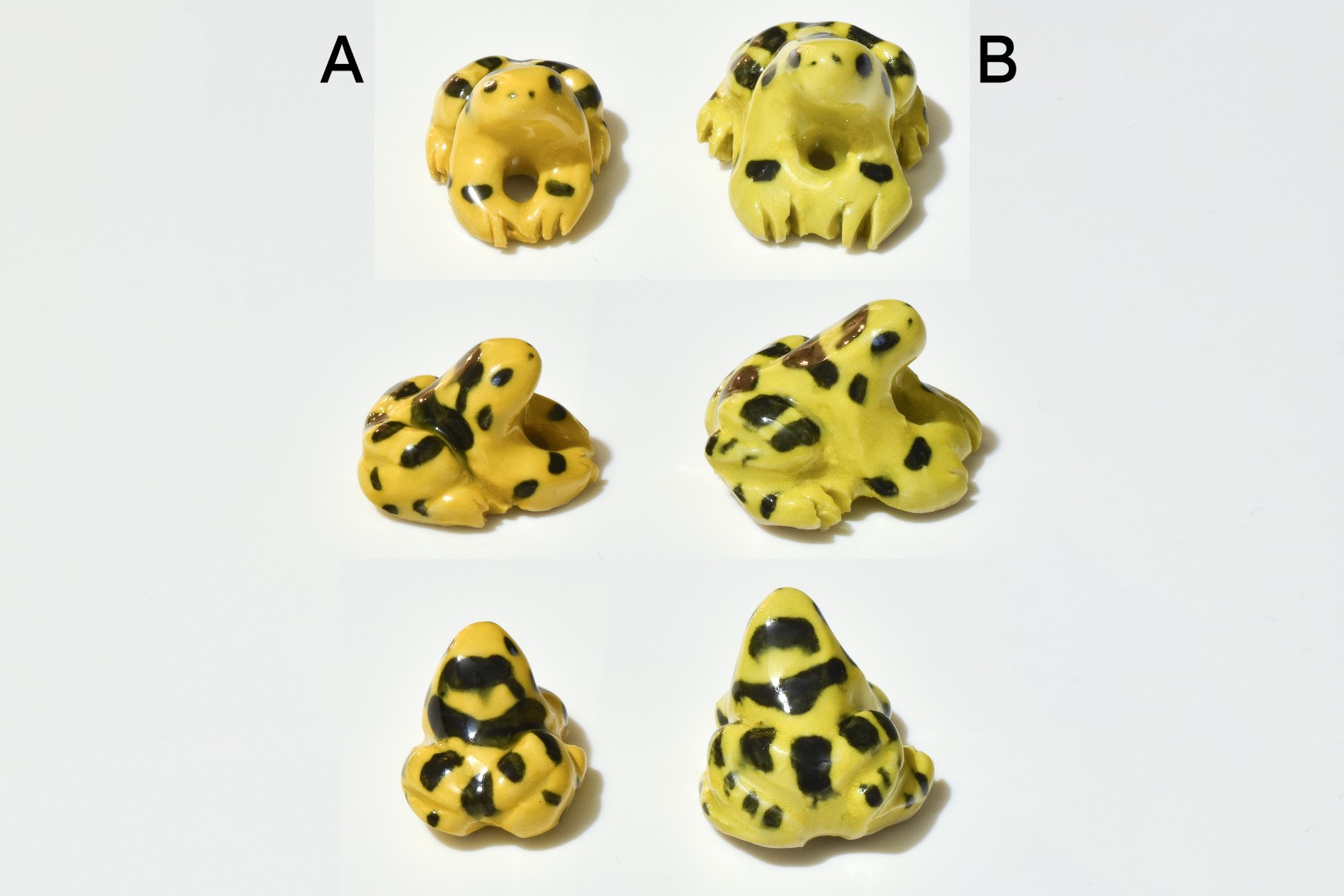 panamaniangoldenfrog panamaniangoldenfrog