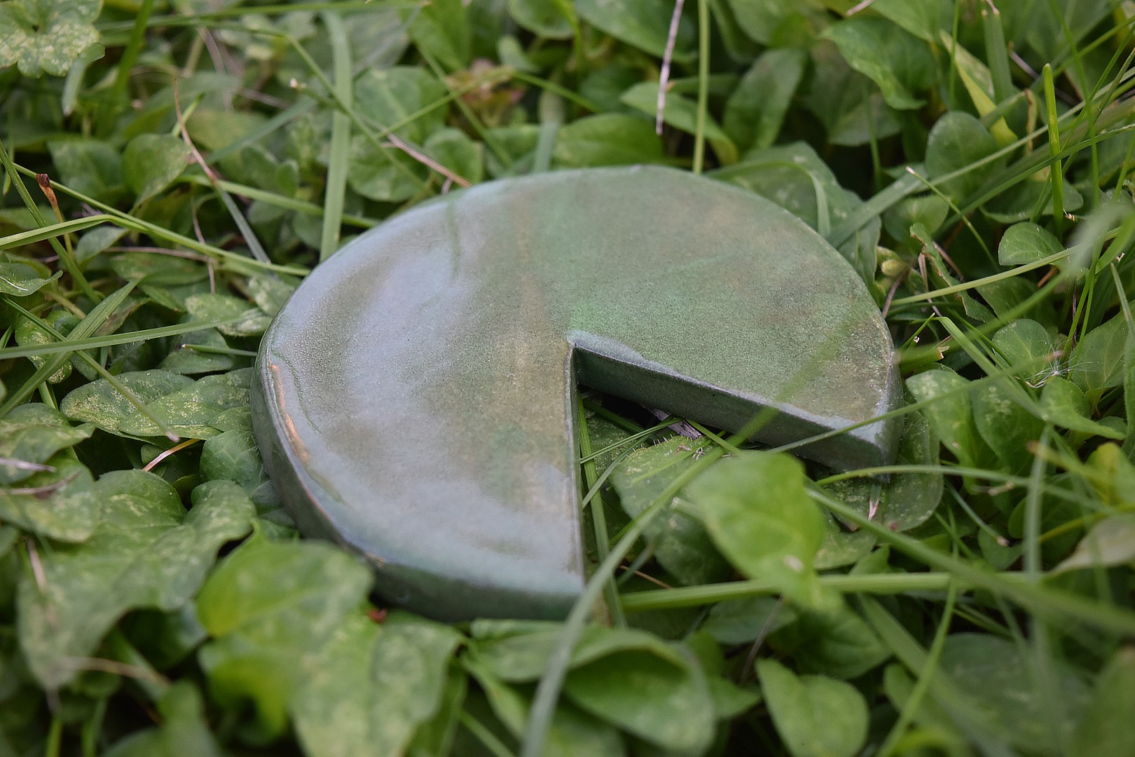 pondsitter3 pondsitter3