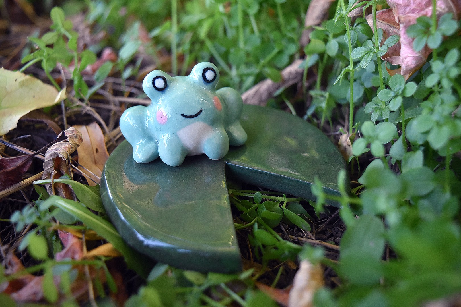 pondsitter6 pondsitter6