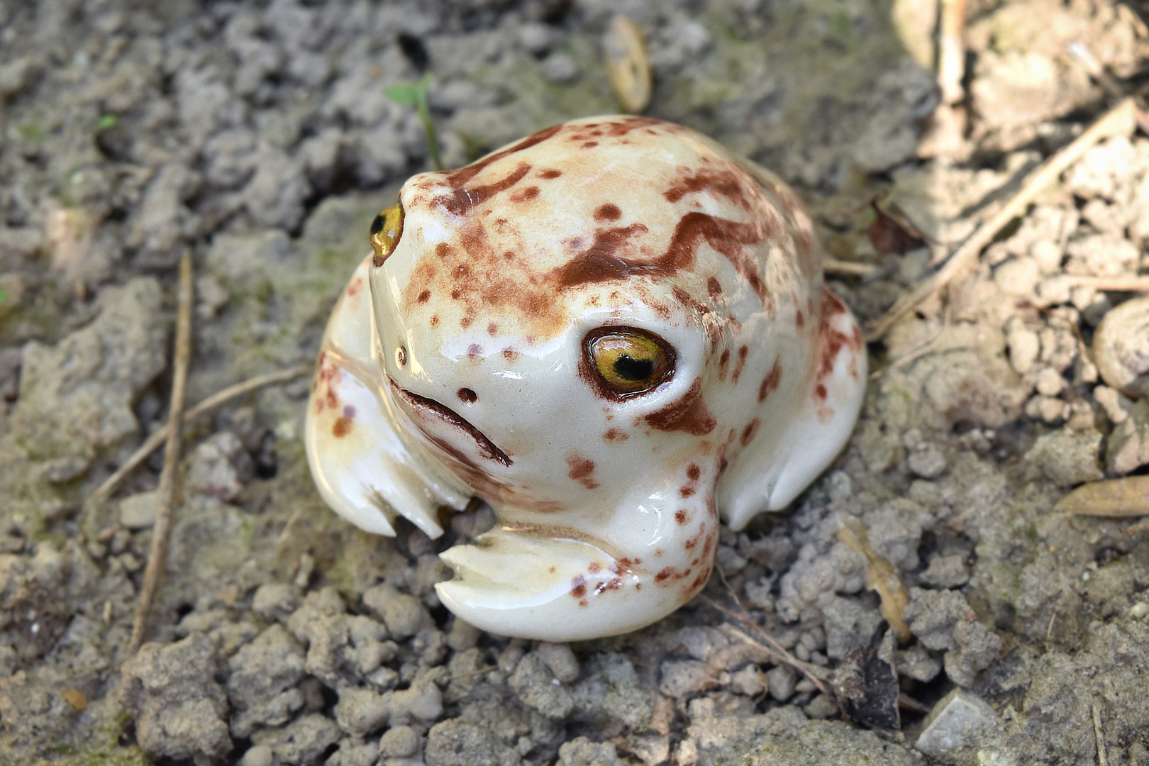 rosesrainfrog2 rosesrainfrog2