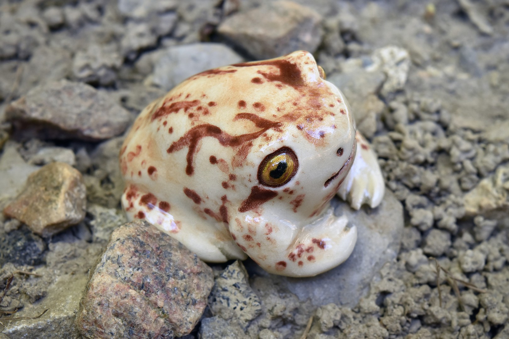 rosesrainfrog6 rosesrainfrog6