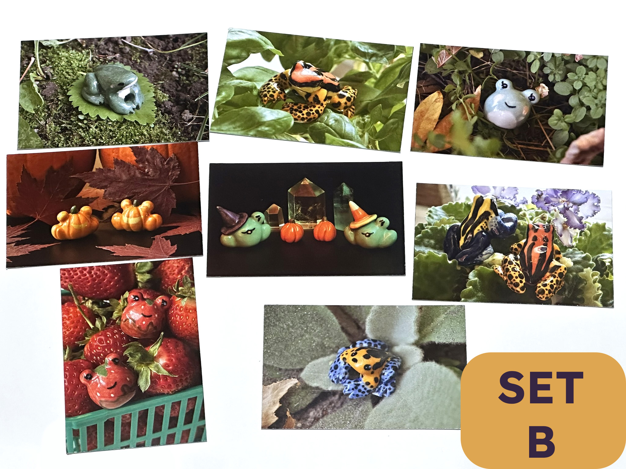 froggy photo sets froggy photo sets