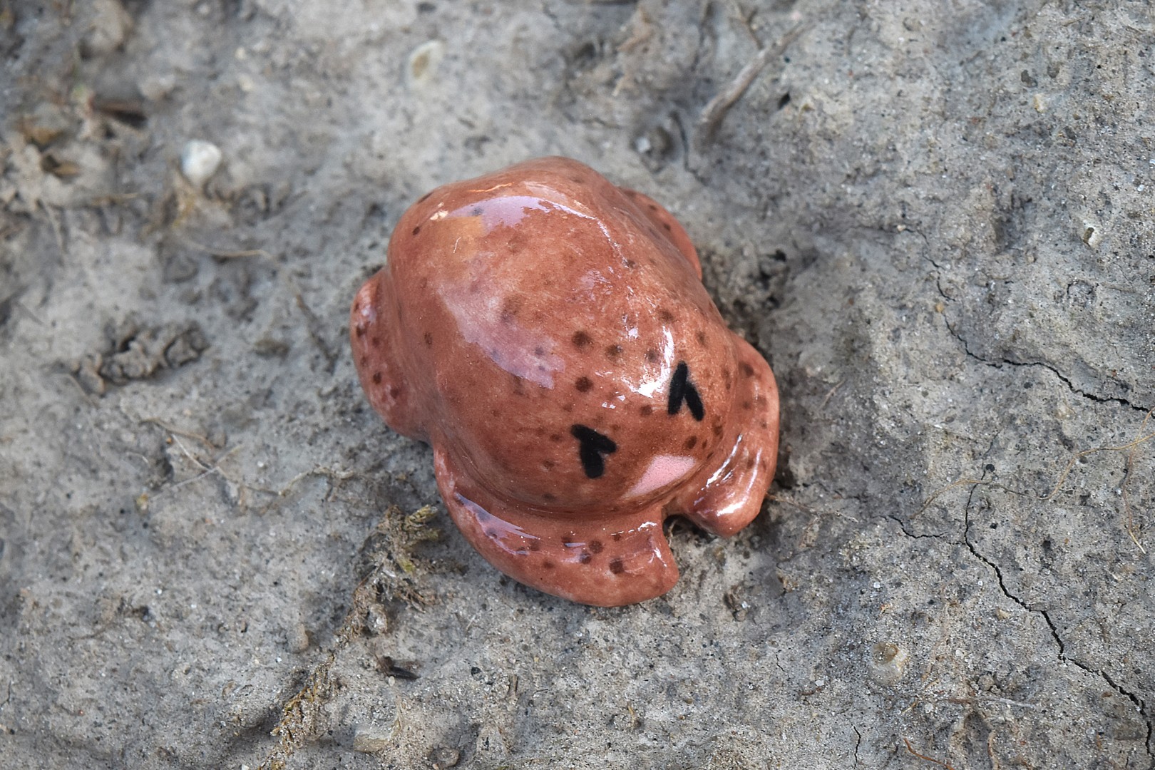 rainfrogmini rainfrogmini