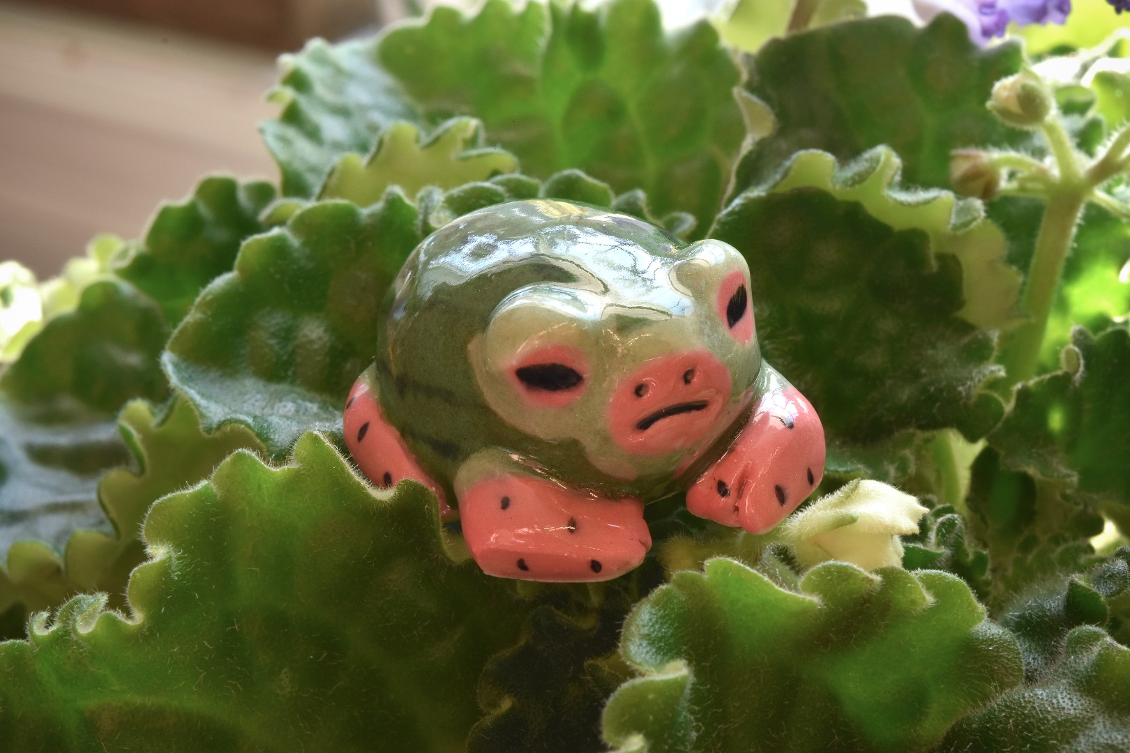 watermelon2 watermelon2